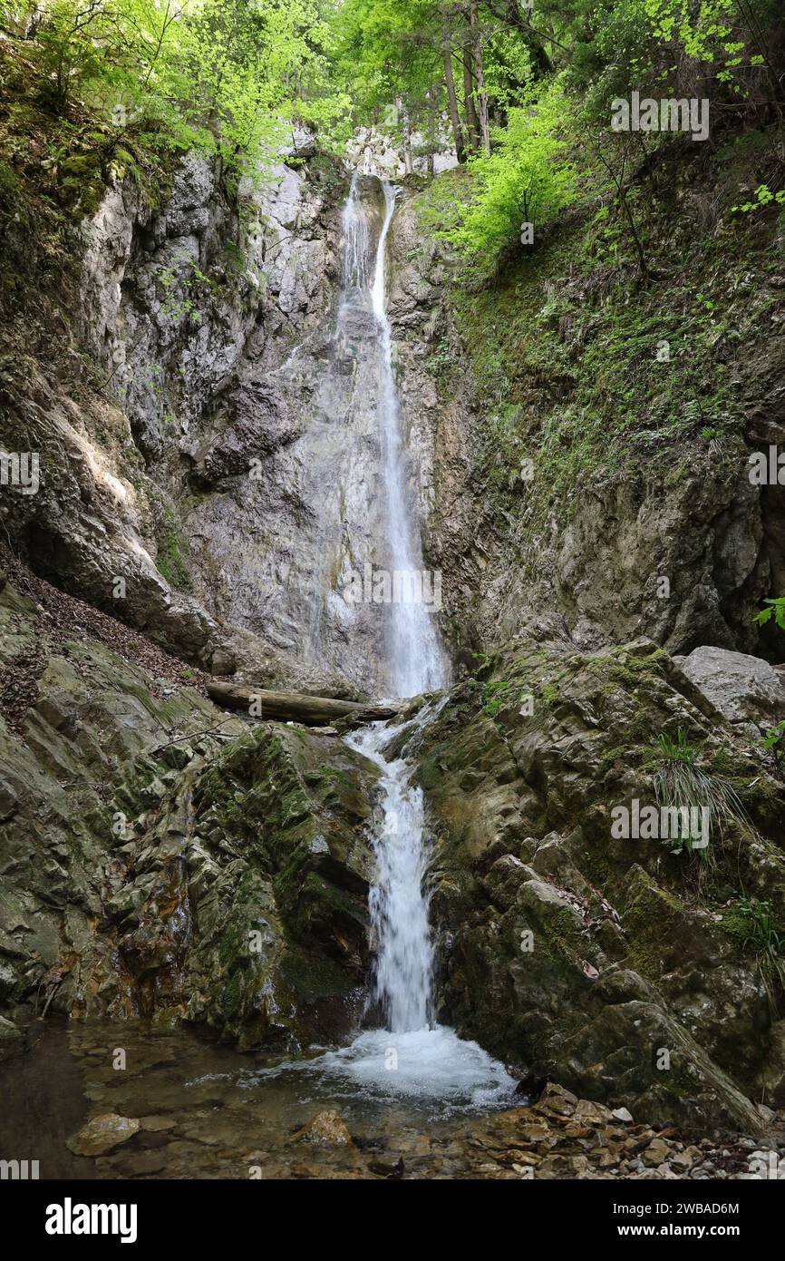 Vue sur une cascade dans le département de la haute-Savoie Banque D'Images