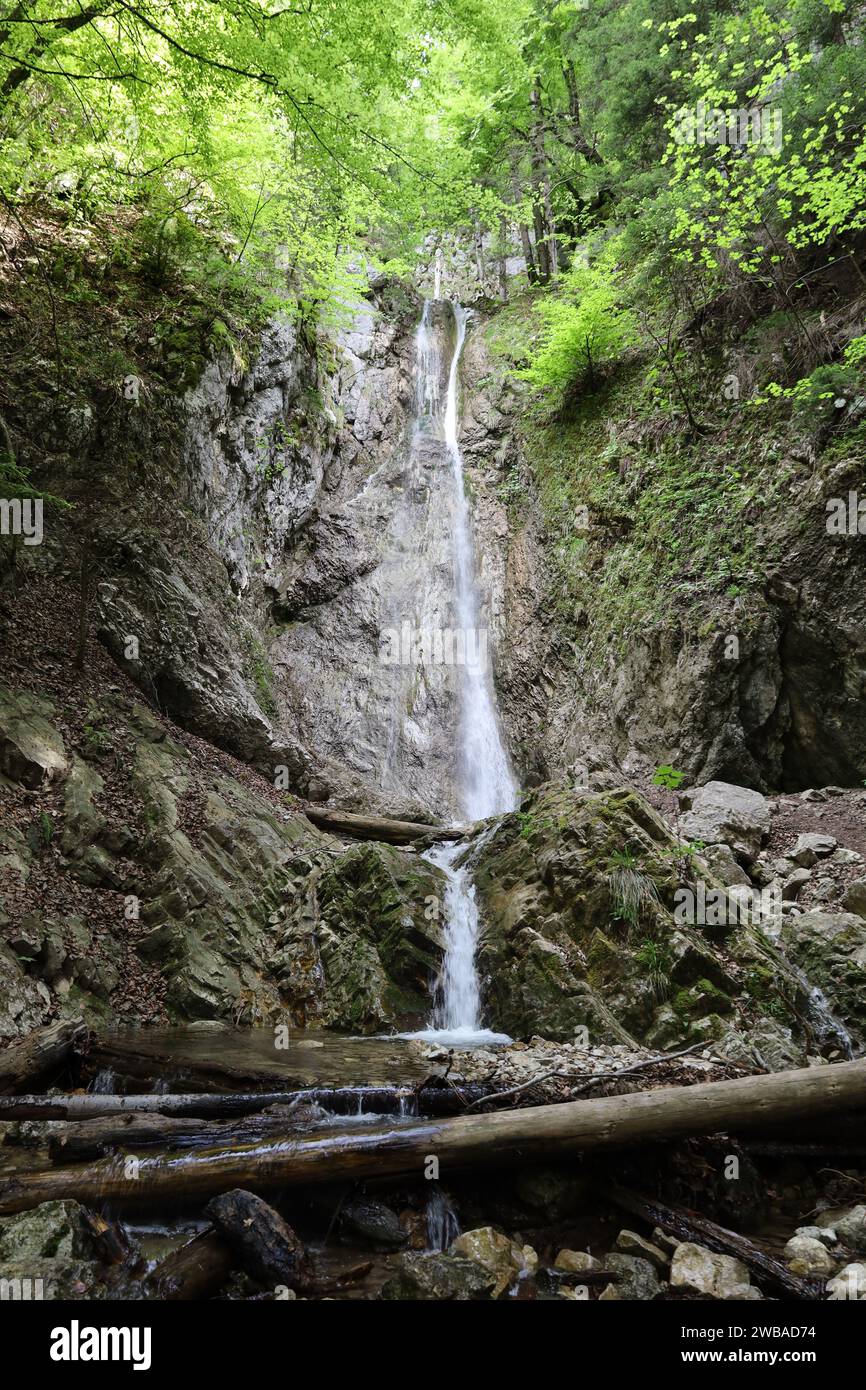 Vue sur une cascade dans le département de la haute-Savoie Banque D'Images