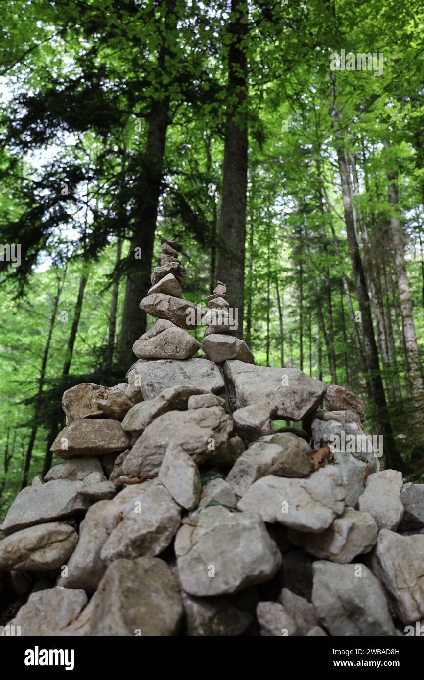 Vue sur une vallée en haute-Savoie Banque D'Images