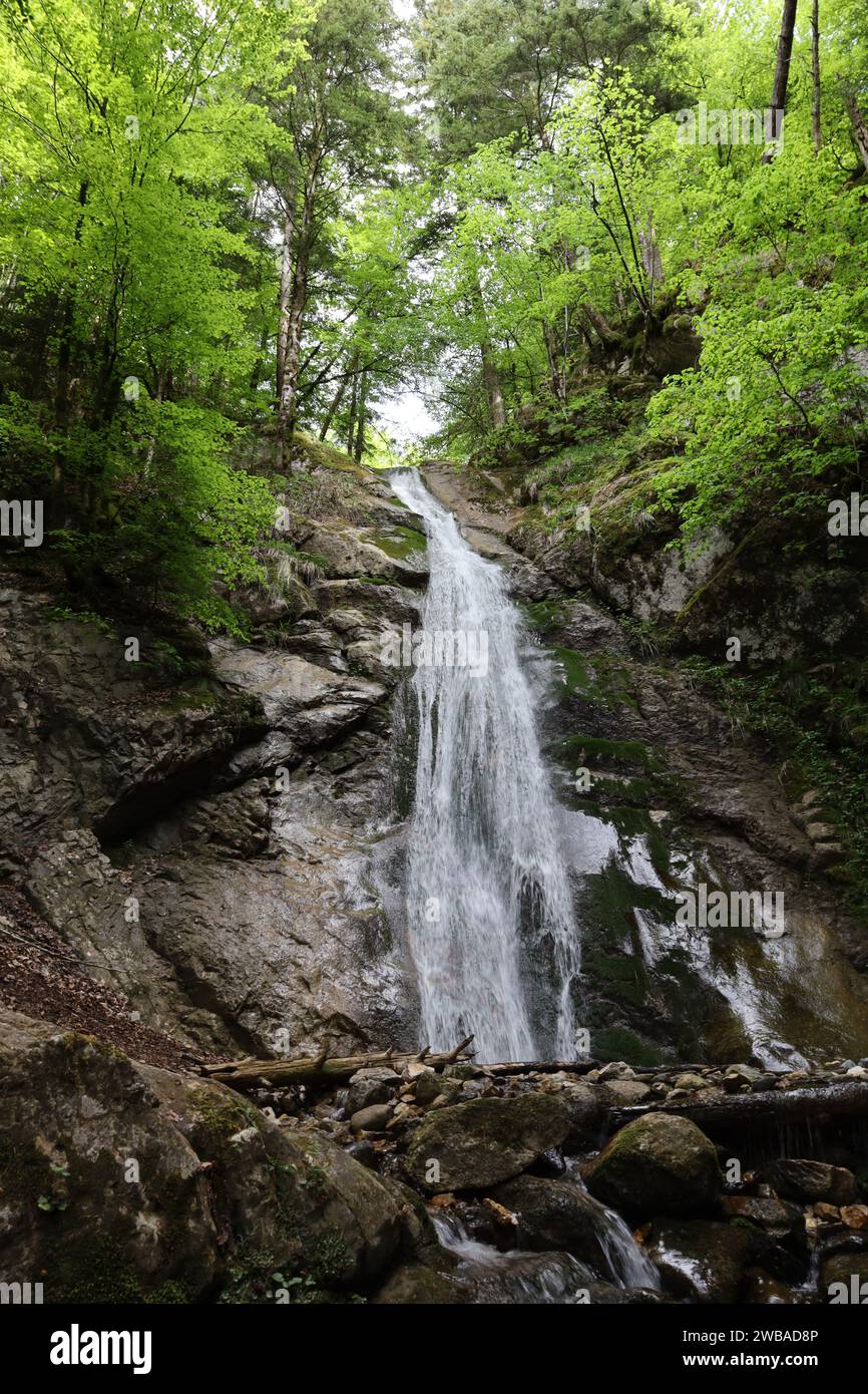 Vue sur une cascade dans le département de la haute-Savoie Banque D'Images