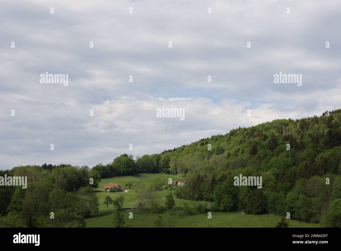 Vue sur une vallée en haute-Savoie Banque D'Images