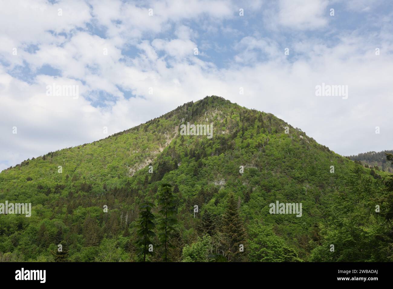 Vue sur une vallée en haute-Savoie Banque D'Images