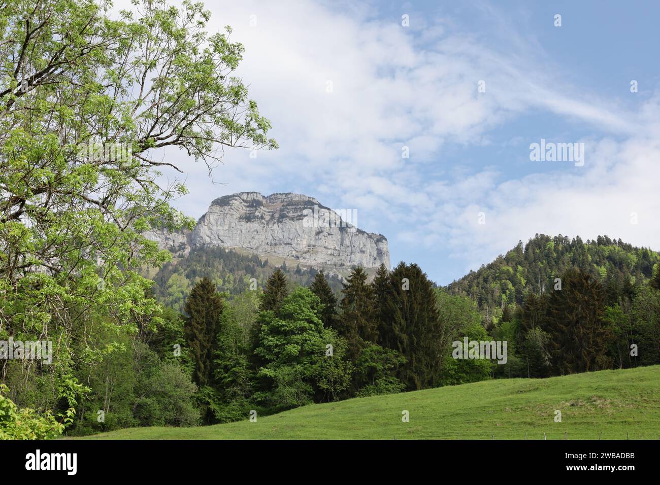 Vue sur une vallée en haute-Savoie Banque D'Images