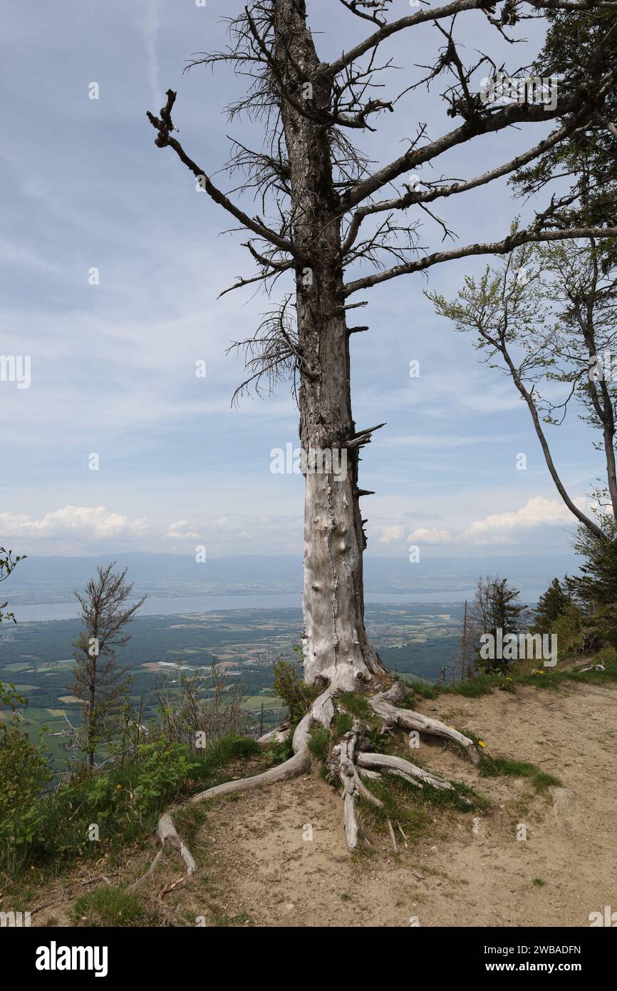 Vue sur une vallée en haute-Savoie Banque D'Images