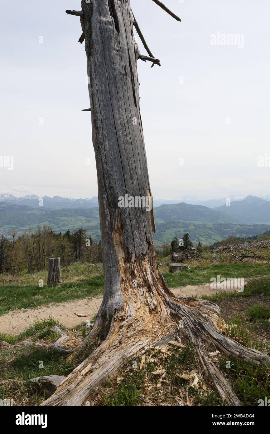 Vue sur une vallée en haute-Savoie Banque D'Images