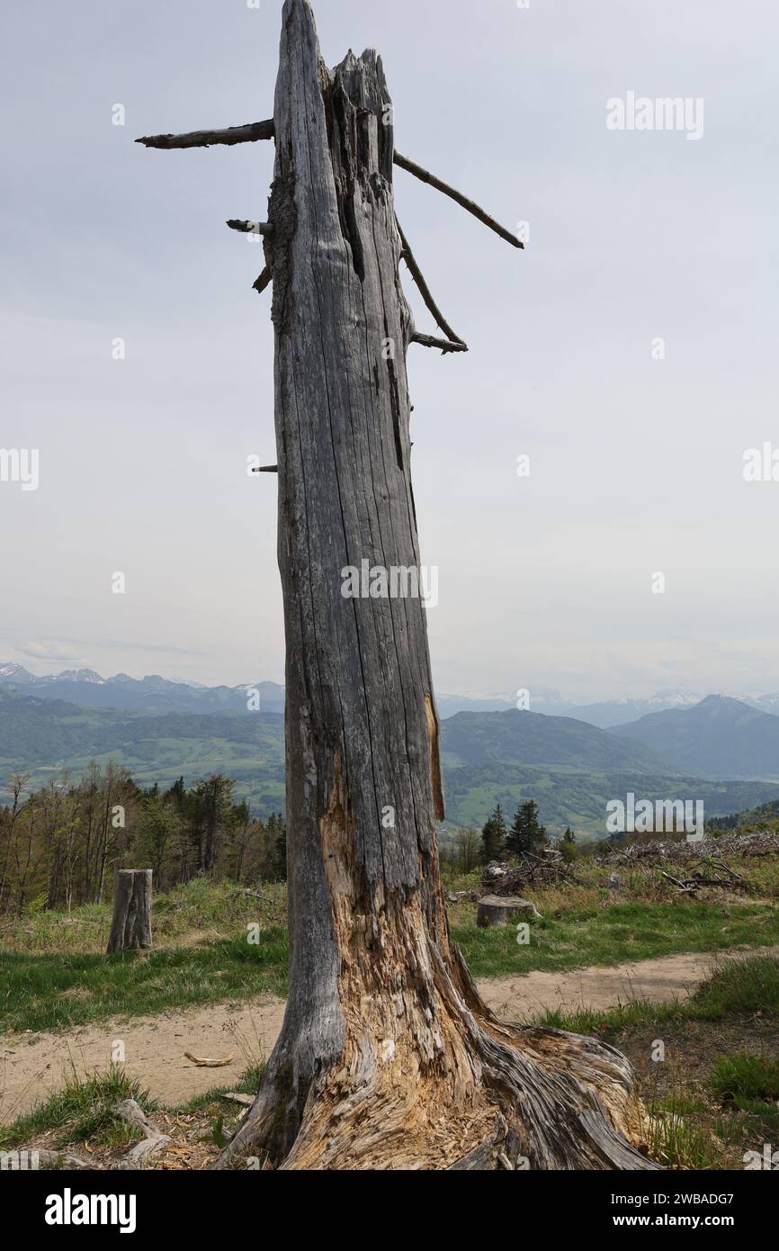 Vue sur une vallée en haute-Savoie Banque D'Images