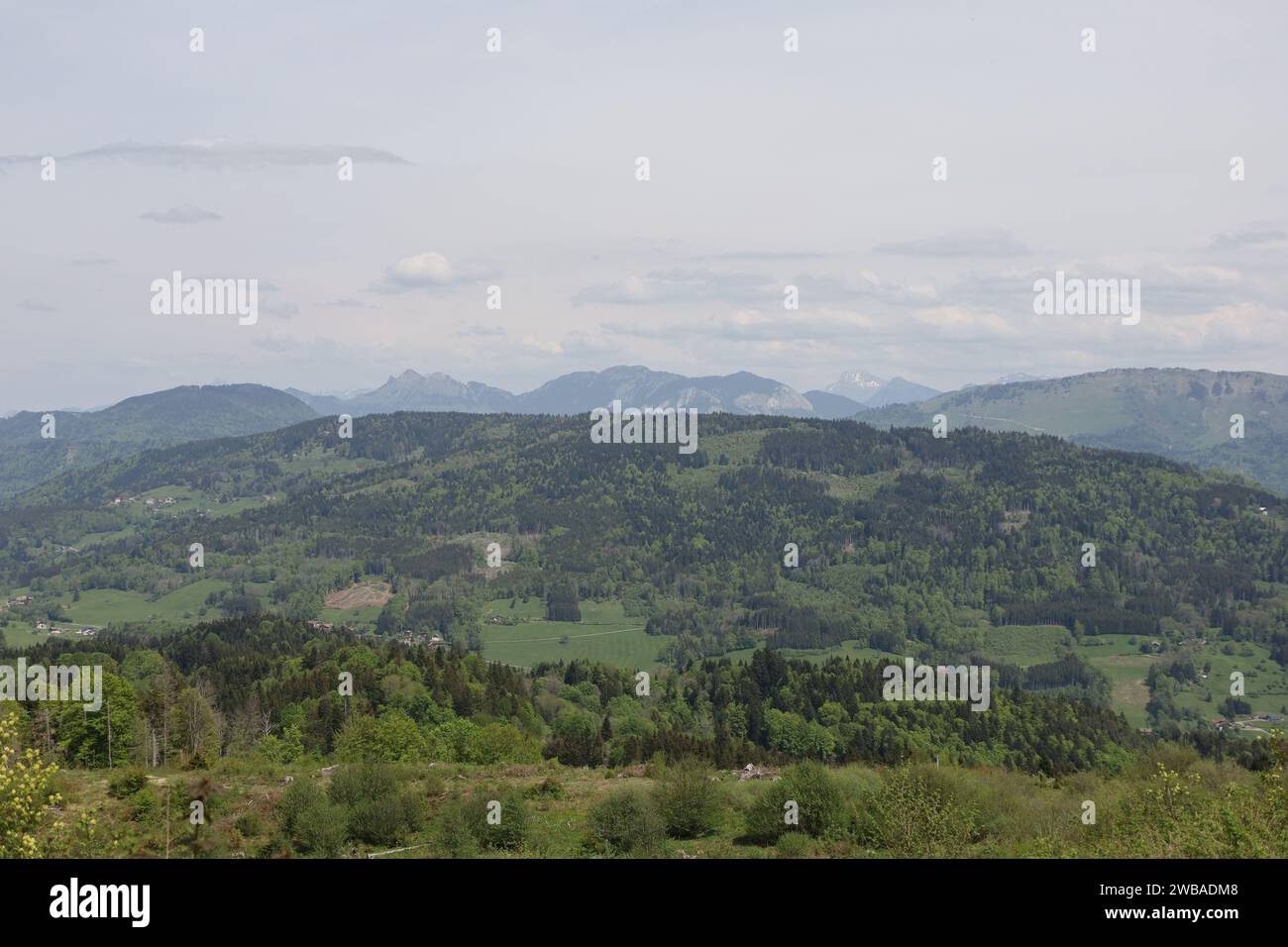 Vue sur une vallée en haute-Savoie Banque D'Images