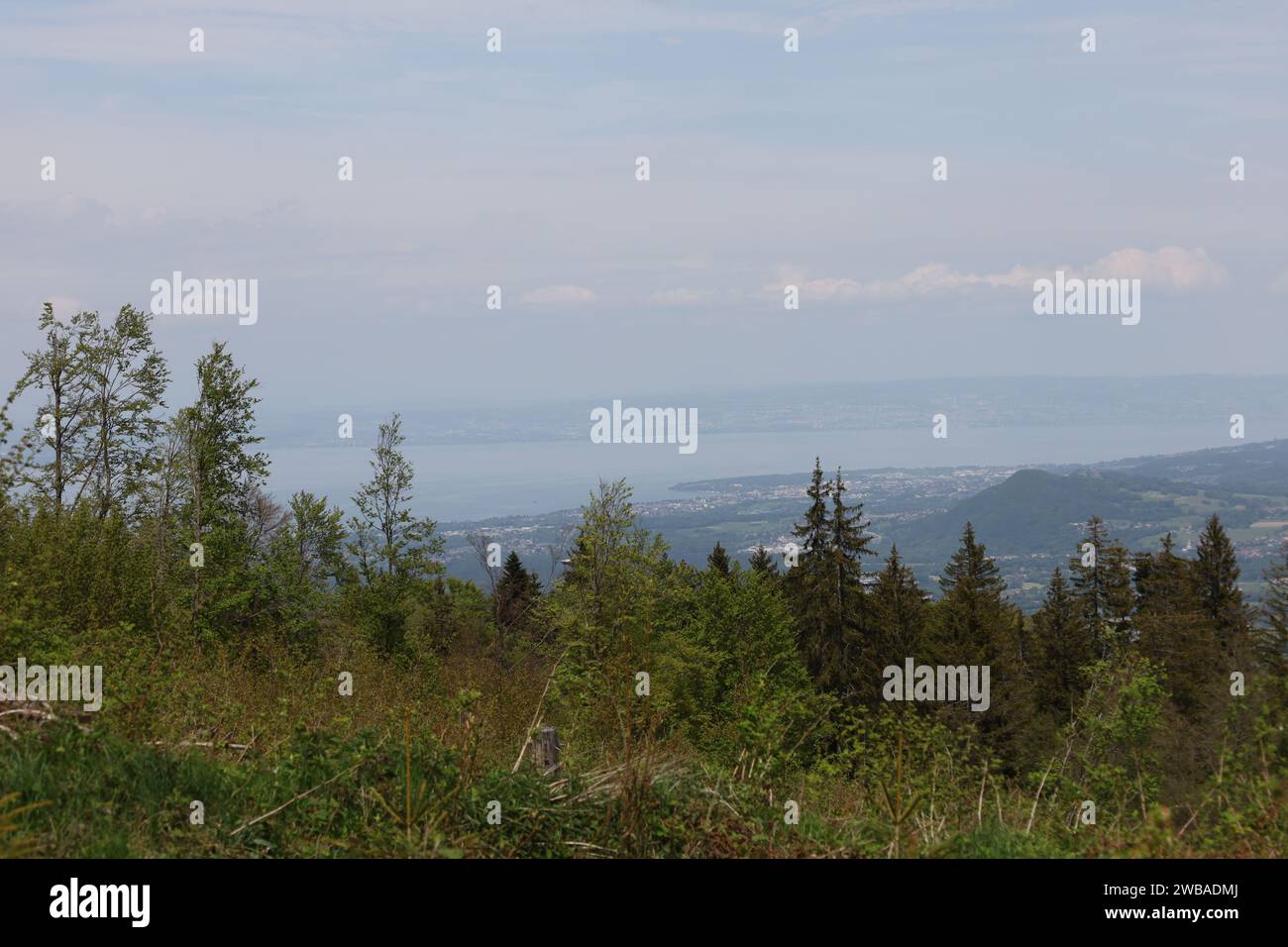 Vue sur une vallée en haute-Savoie Banque D'Images