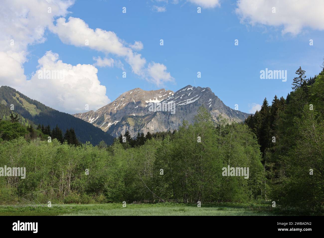 Vue sur une vallée en haute-Savoie Banque D'Images