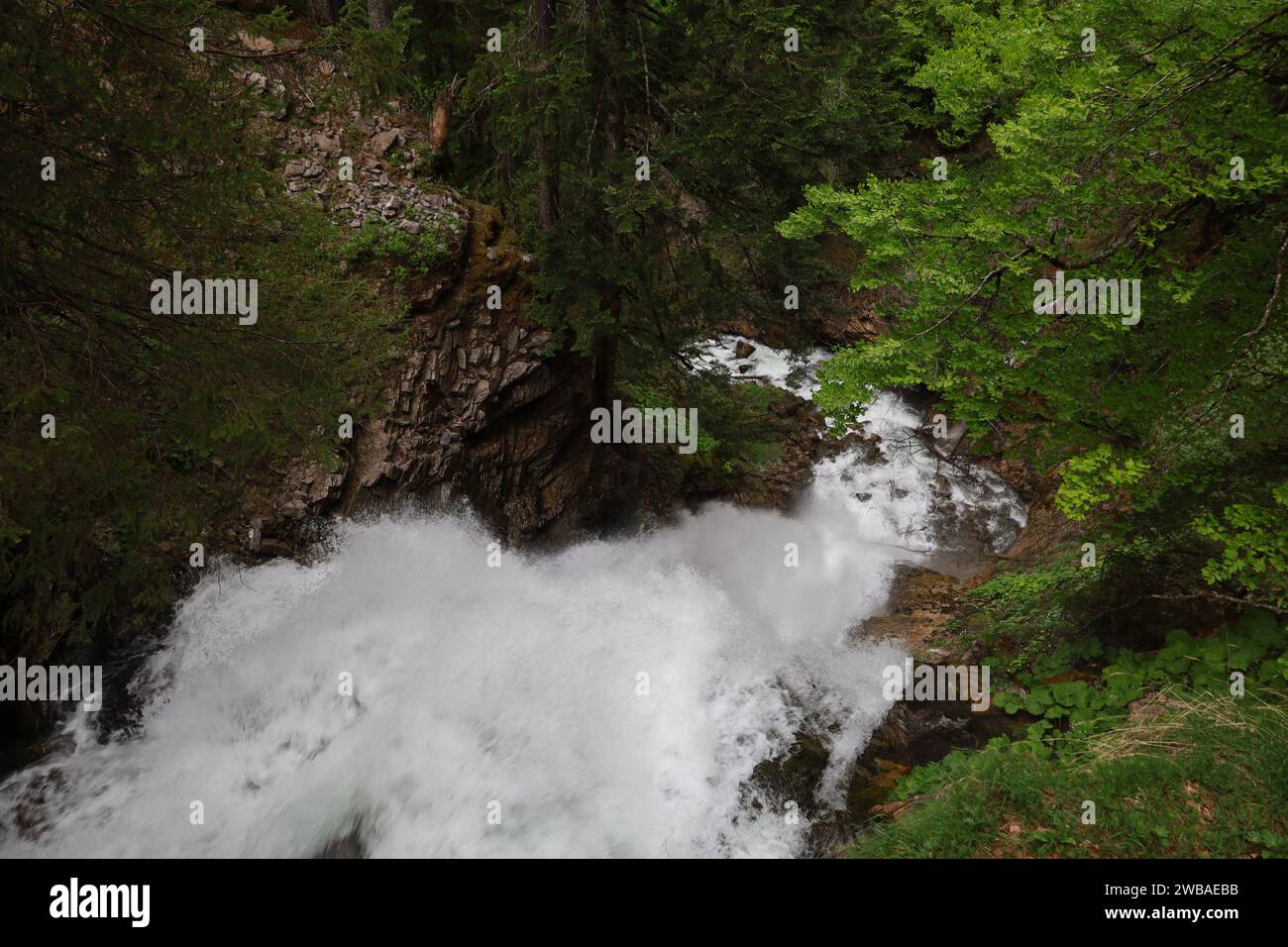 Vue sur une cascade dans le département de la haute-Savoie Banque D'Images