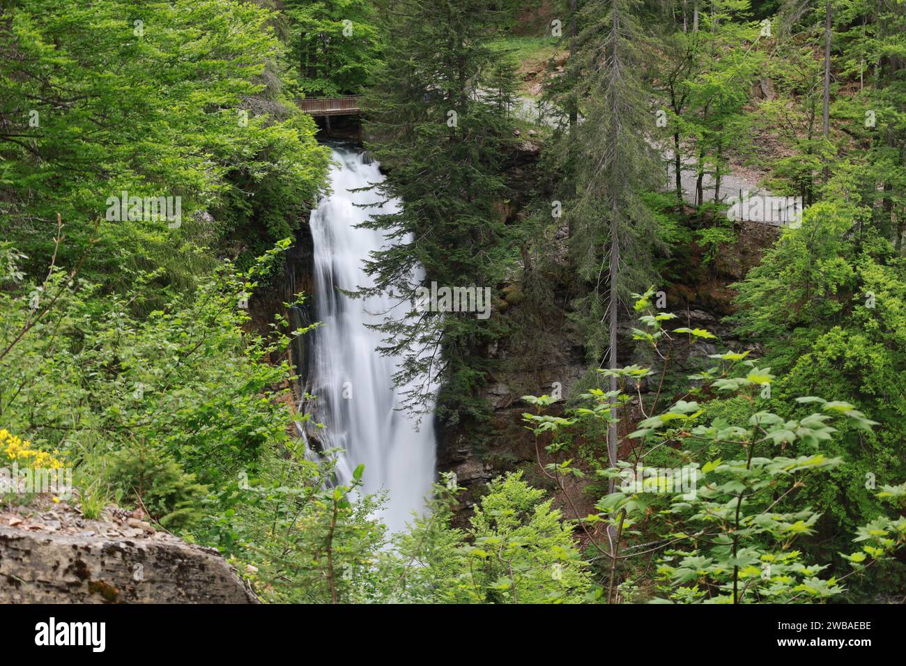 Vue sur une cascade dans le département de la haute-Savoie Banque D'Images
