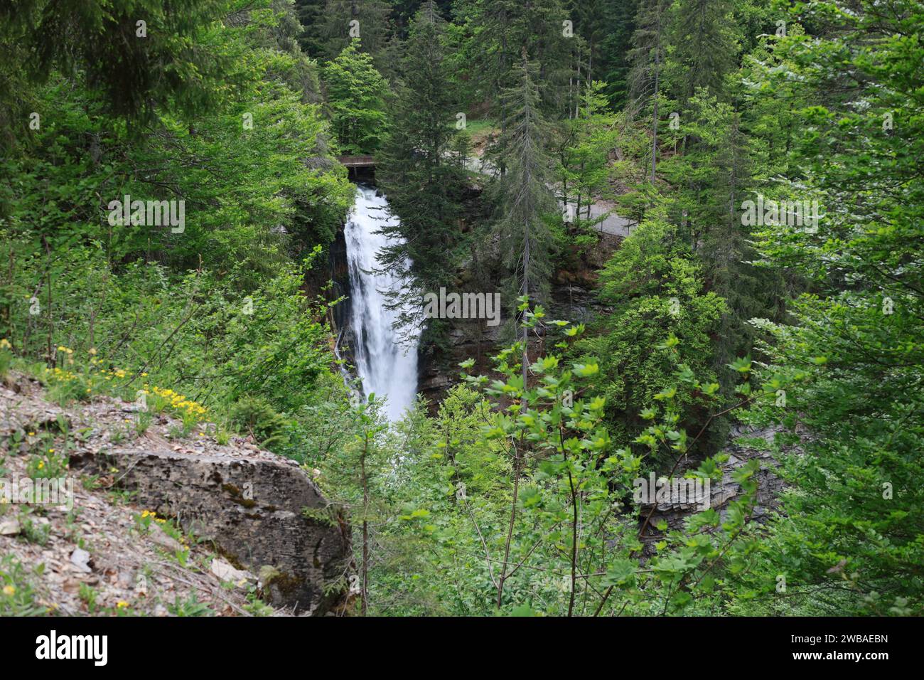 Vue sur une cascade dans le département de la haute-Savoie Banque D'Images
