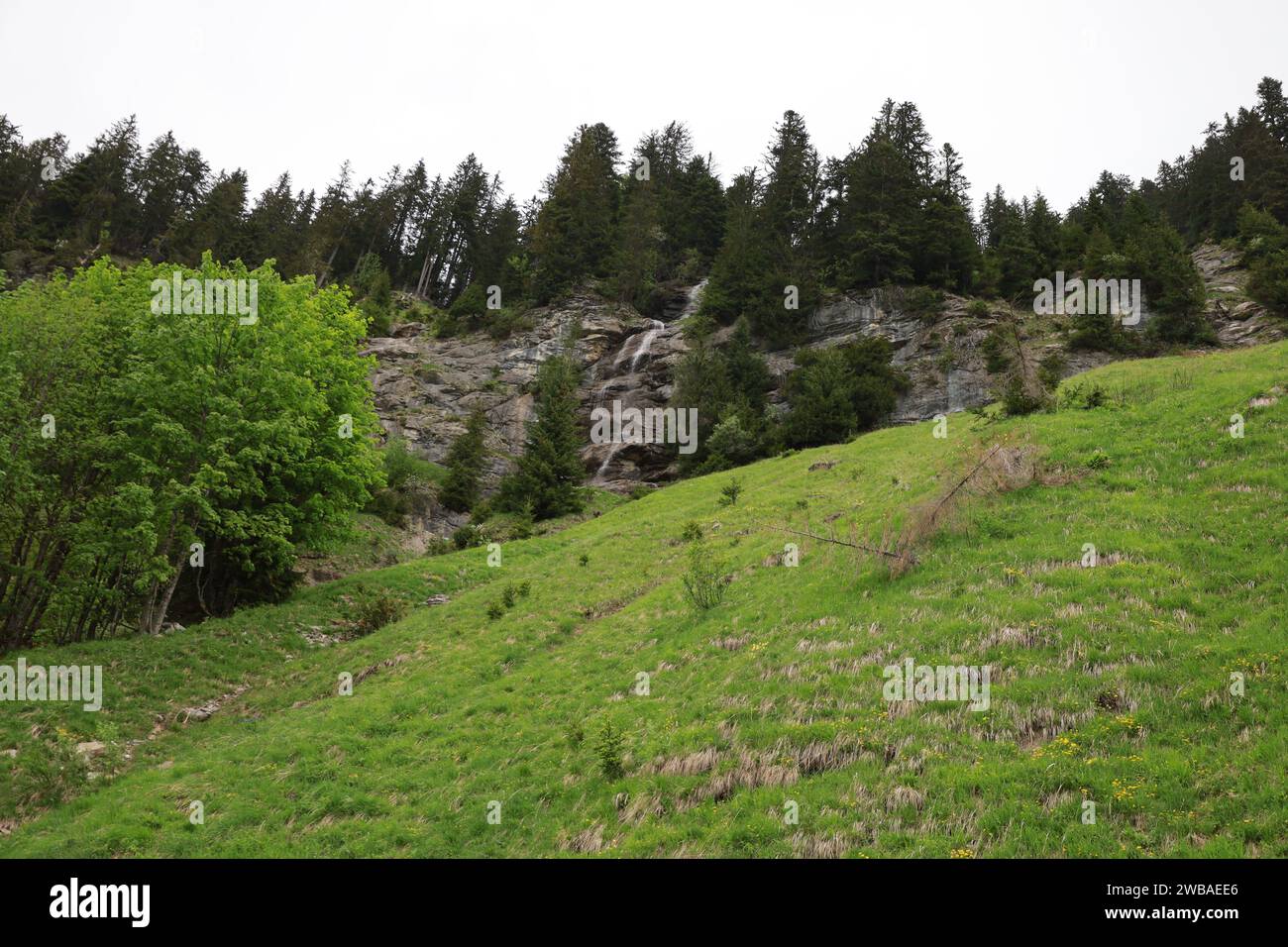 Vue sur une cascade dans le département de la haute-Savoie Banque D'Images