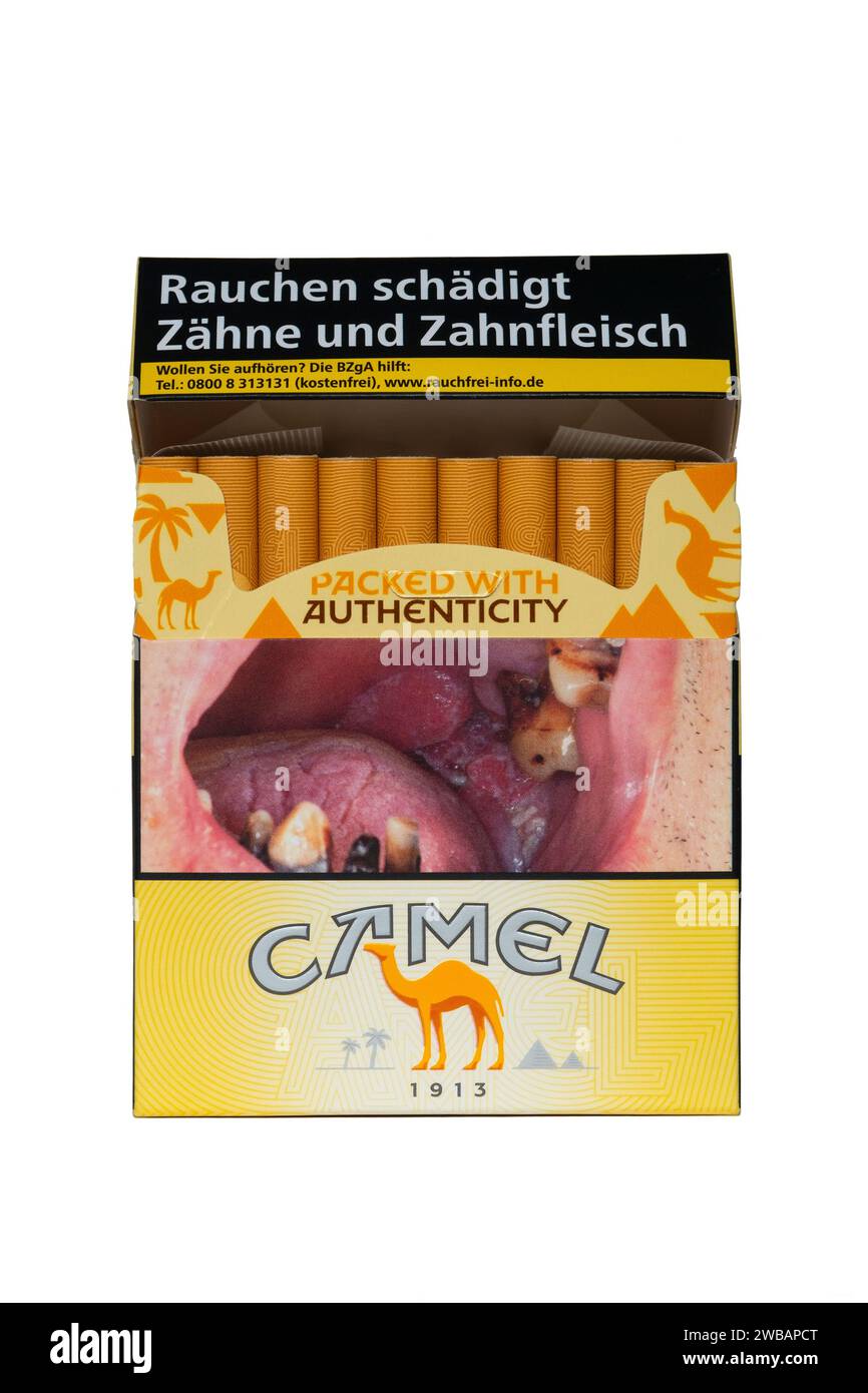 paquet de cinquante-cinq cigarettes jaunes de chameau allemandes avec image graphique d'avertissement de santé sur le devant découpé sur fond blanc Banque D'Images