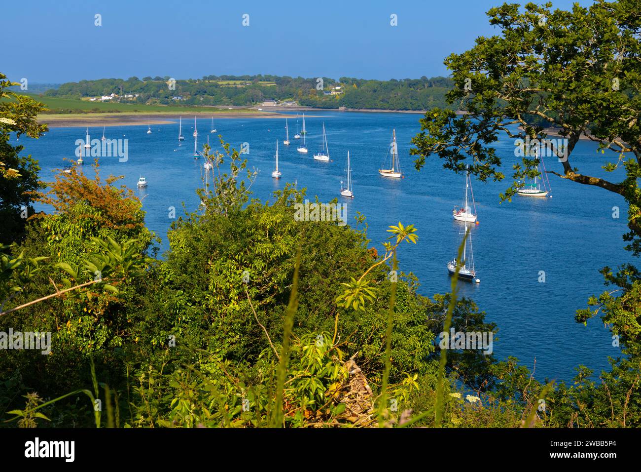 Yachts et bateaux amarrés sur la rivière Cleddau près de Neyland Pembroke South Wales Banque D'Images
