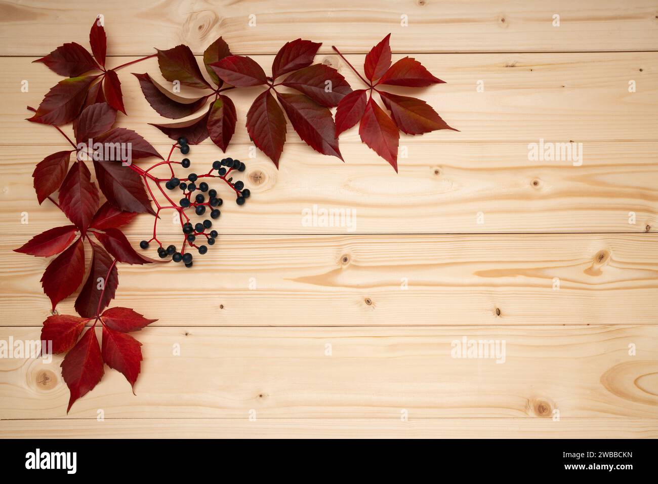 Copiez l'espace de levains séchés d'automne et berrys sur un fond en bois. Vue d'en haut Banque D'Images