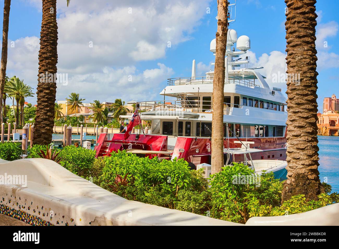 Opulent Yacht à Tropical Marina avec palmiers, Nassau Banque D'Images
