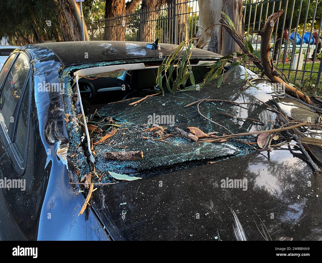 Voiture endommagée par un arbre tombé, lunette arrière brisée par une branche d'arbre après une tempête ou un ouragan Banque D'Images
