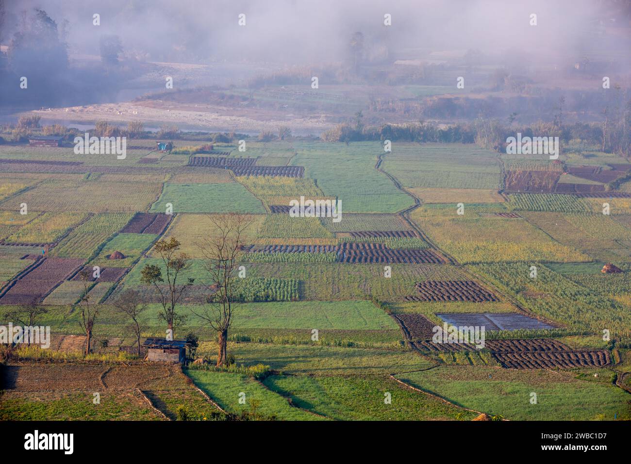 Froid glacial matin d'hiver paysage pittoresque. Banque D'Images