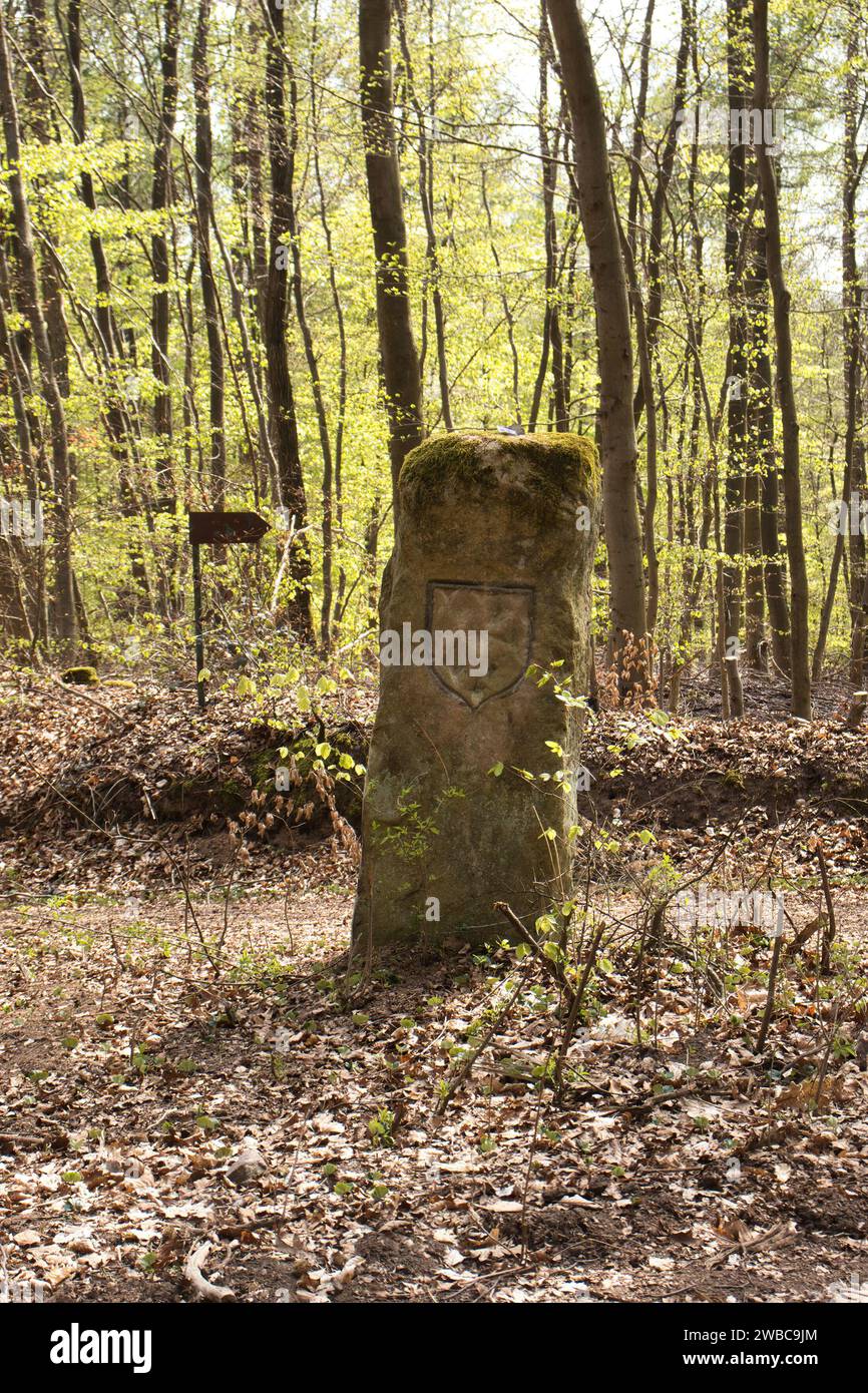 Monument en pierre à côté d'un sentier pédestre dans la forêt du Palatinat près du monument Hinkelstein en Allemagne. Banque D'Images