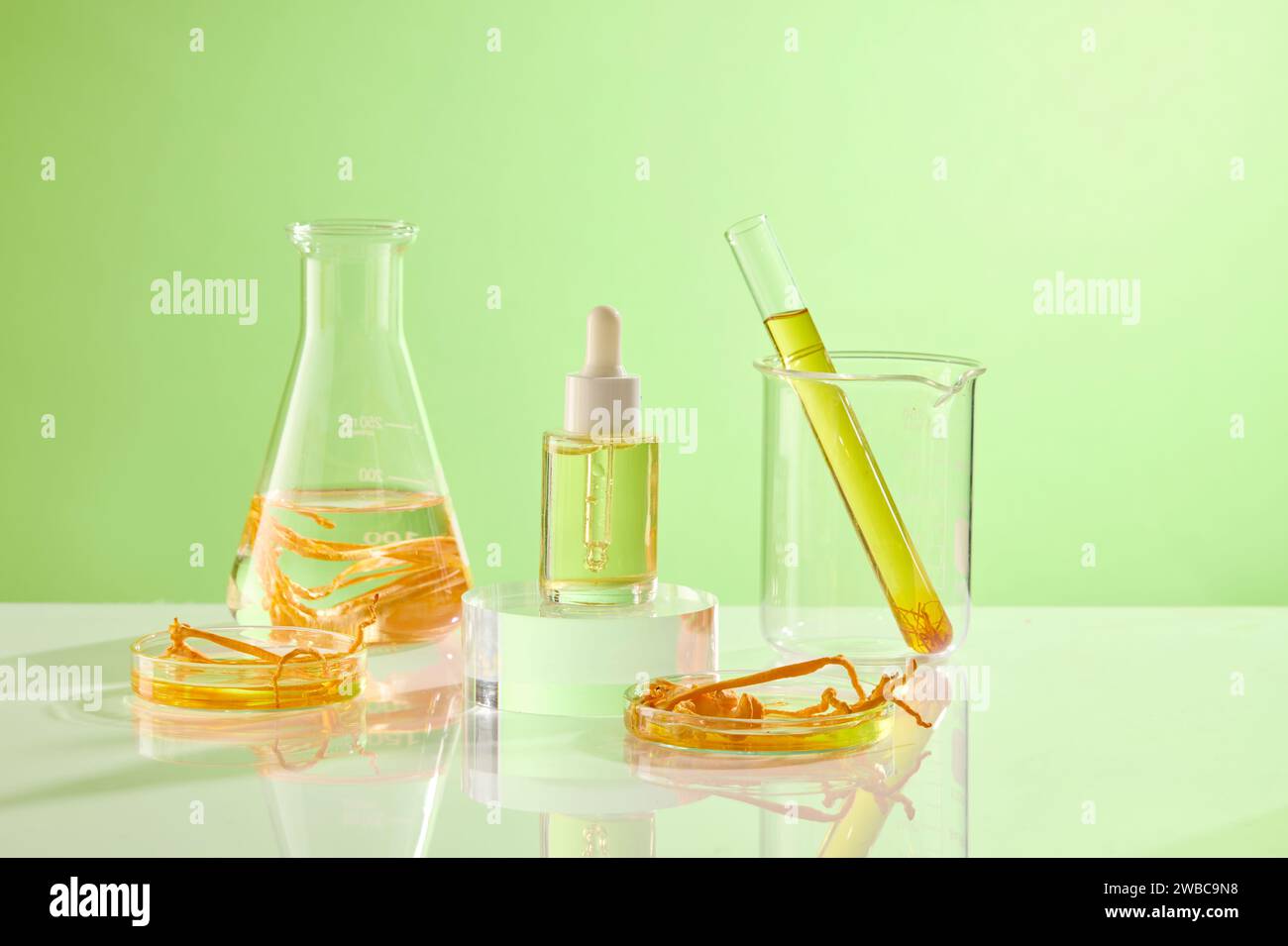 Sur fond vert, flacon en verre contenant du cordyceps et du liquide jaune décoré d'un flacon de sérum sans marque. Scène de maquette pour la publicité Banque D'Images