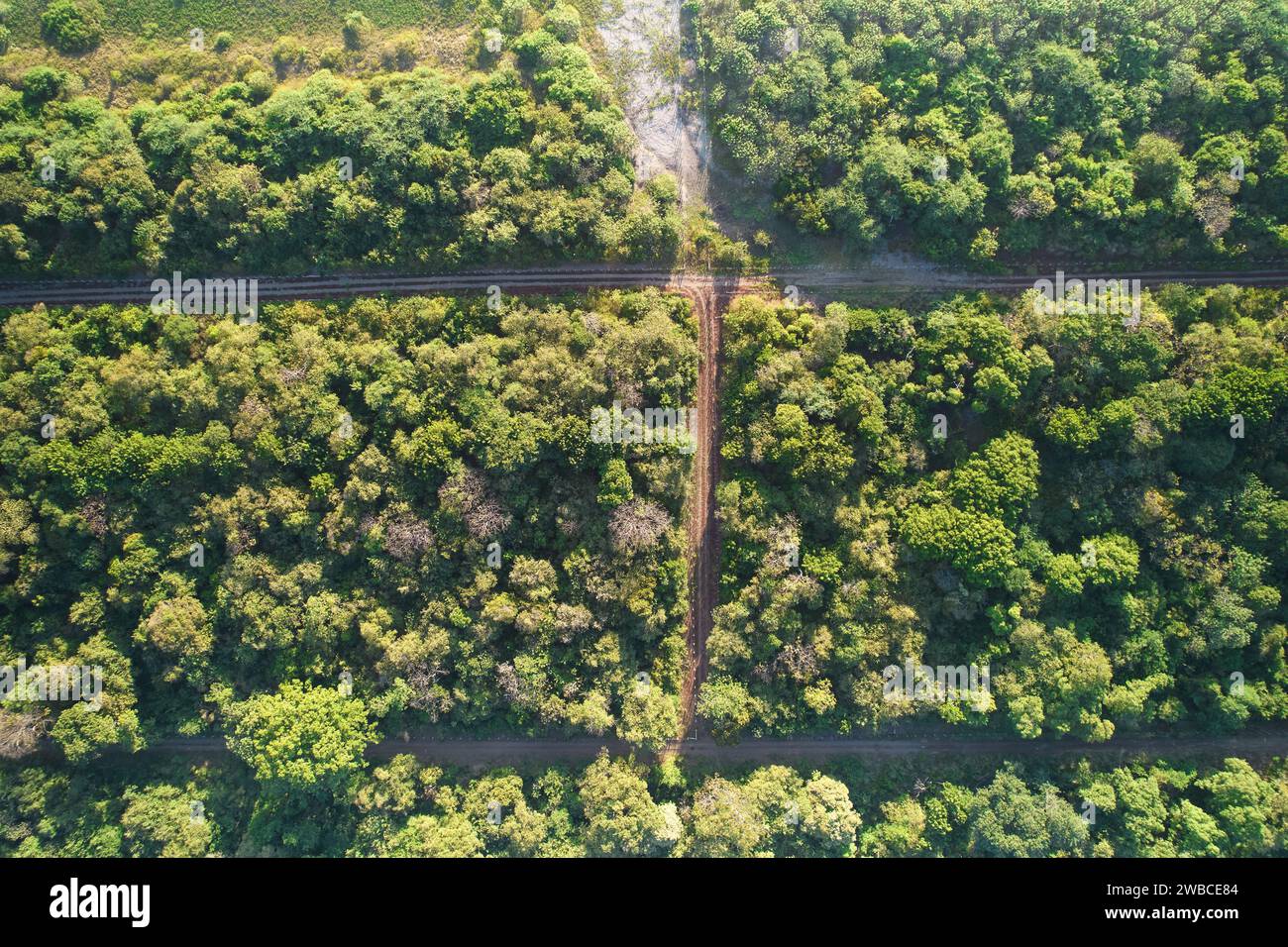 Forêt verte de paysage avec chemin rural route aérienne drone vue de dessus Banque D'Images
