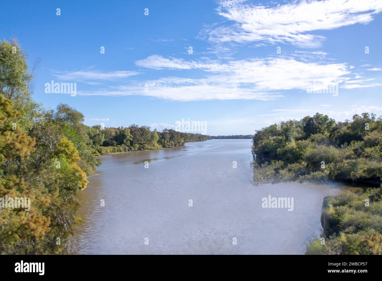 Vue sur le paysage du bassin Atchafalaya avec le fleuve Mississippi en Louisiane Banque D'Images