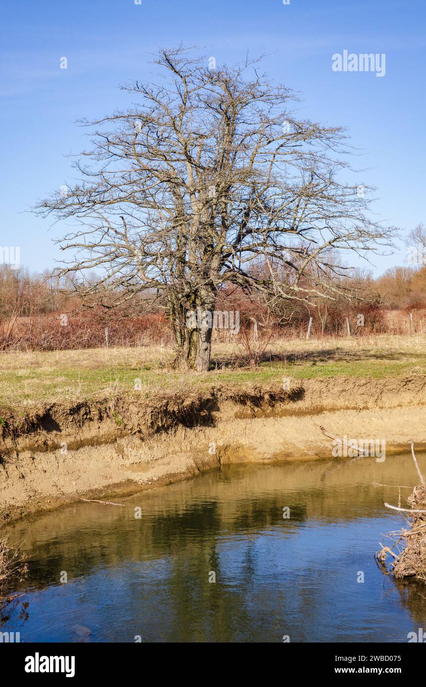 Ruisseau conewango Banque de photographies et d’images à haute
