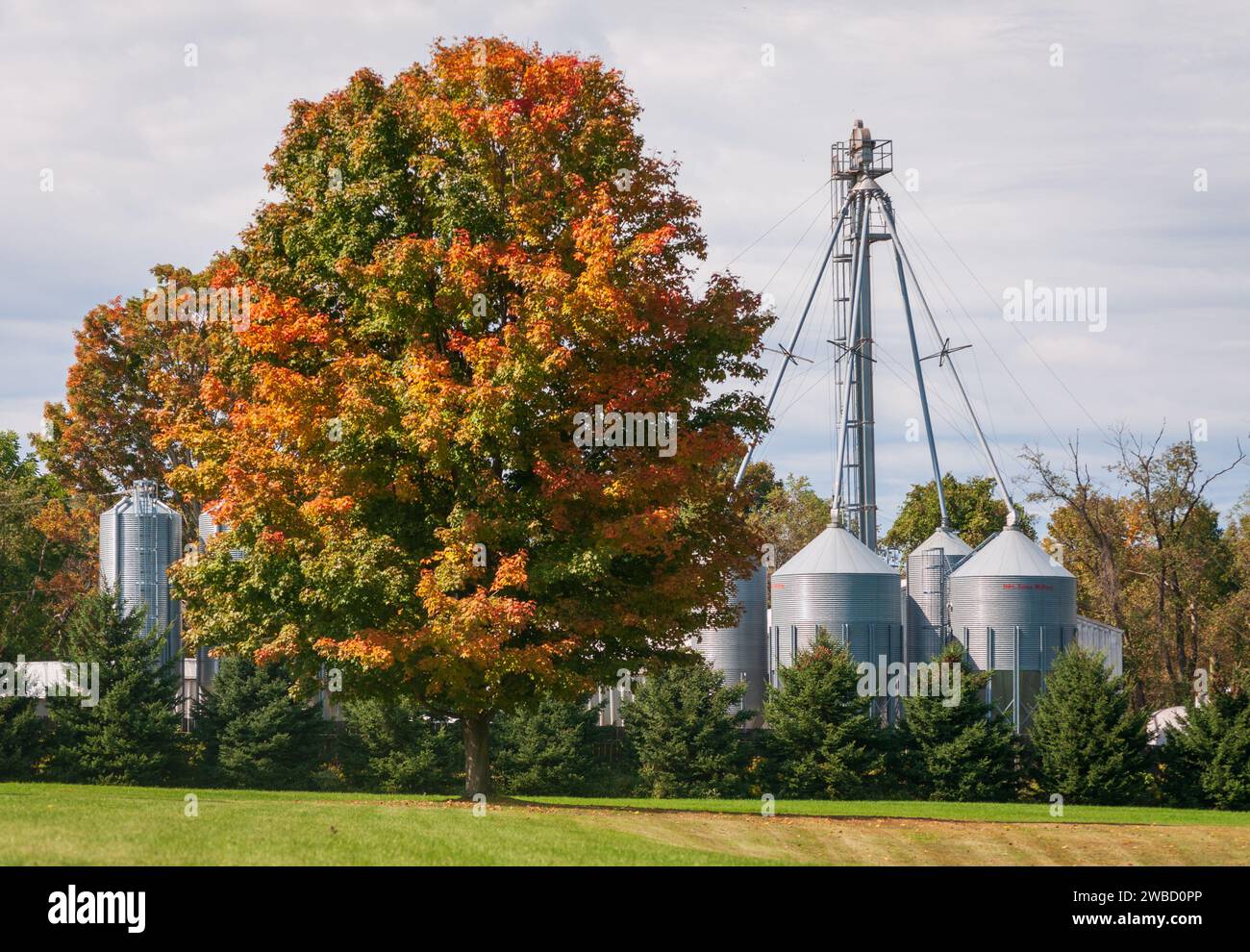 Fermes et silos à Sugar Grove, Pennsylvanie, États-Unis Banque D'Images