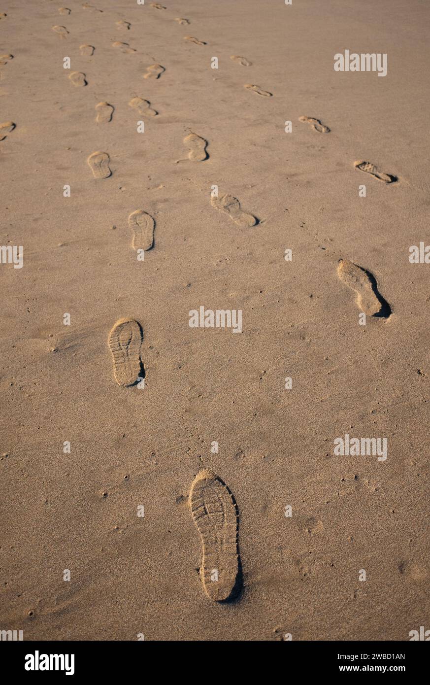 Empreintes de pas marquées dans le sable mou d'une plage, tracant des itinéraires qui se rencontrent et convergent, symbolisant le voyage et l'exploration. Banque D'Images