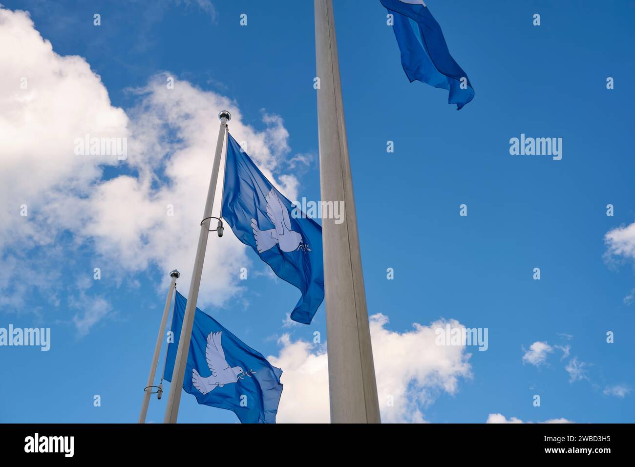 Trois drapeaux bleus de la paix dans une rangée imprimés avec une colombe avec une branche d'olivier dans son bec. La colombe à la branche est le symbole international de la paix. Banque D'Images
