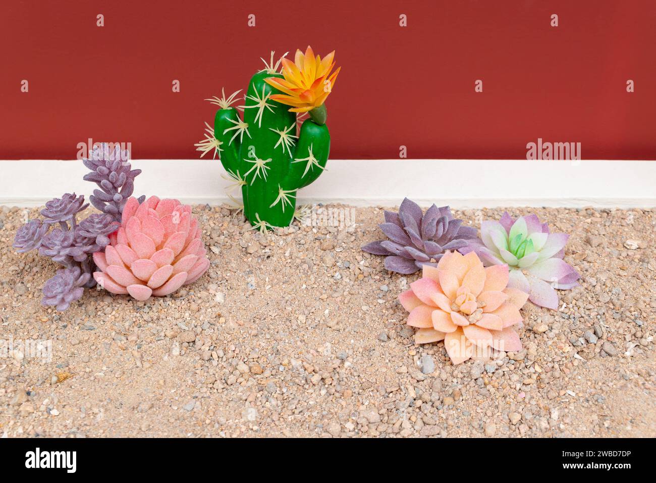 plante succulente artificielle et cactus a composition horizontale Banque D'Images
