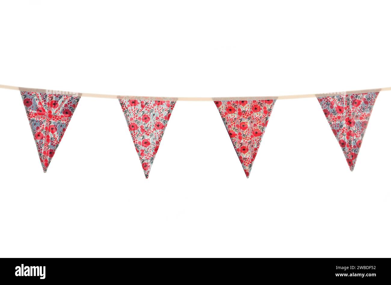 Britang de célébration du souvenir britannique isolé sur un fond blanc Banque D'Images