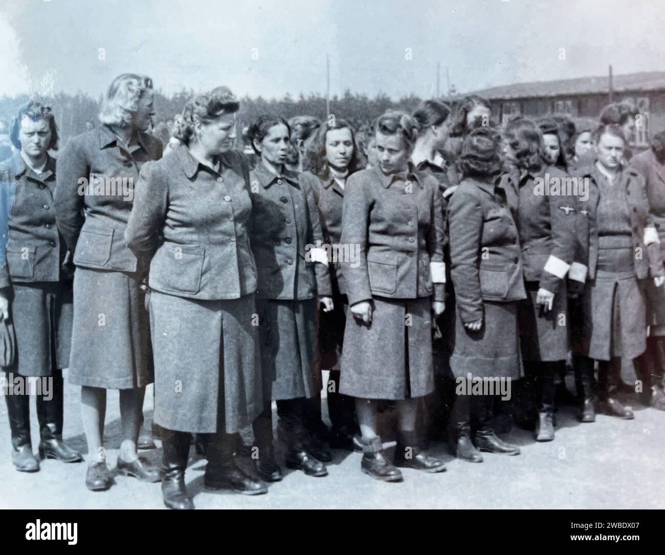 CAMP DE CONCENTRATION DE BERGEN-BELSEN, ALLEMAGNE. Les gardes féminines sont défilées après la libération du camp par les troupes britanniques le 15 avril 1945. Banque D'Images
