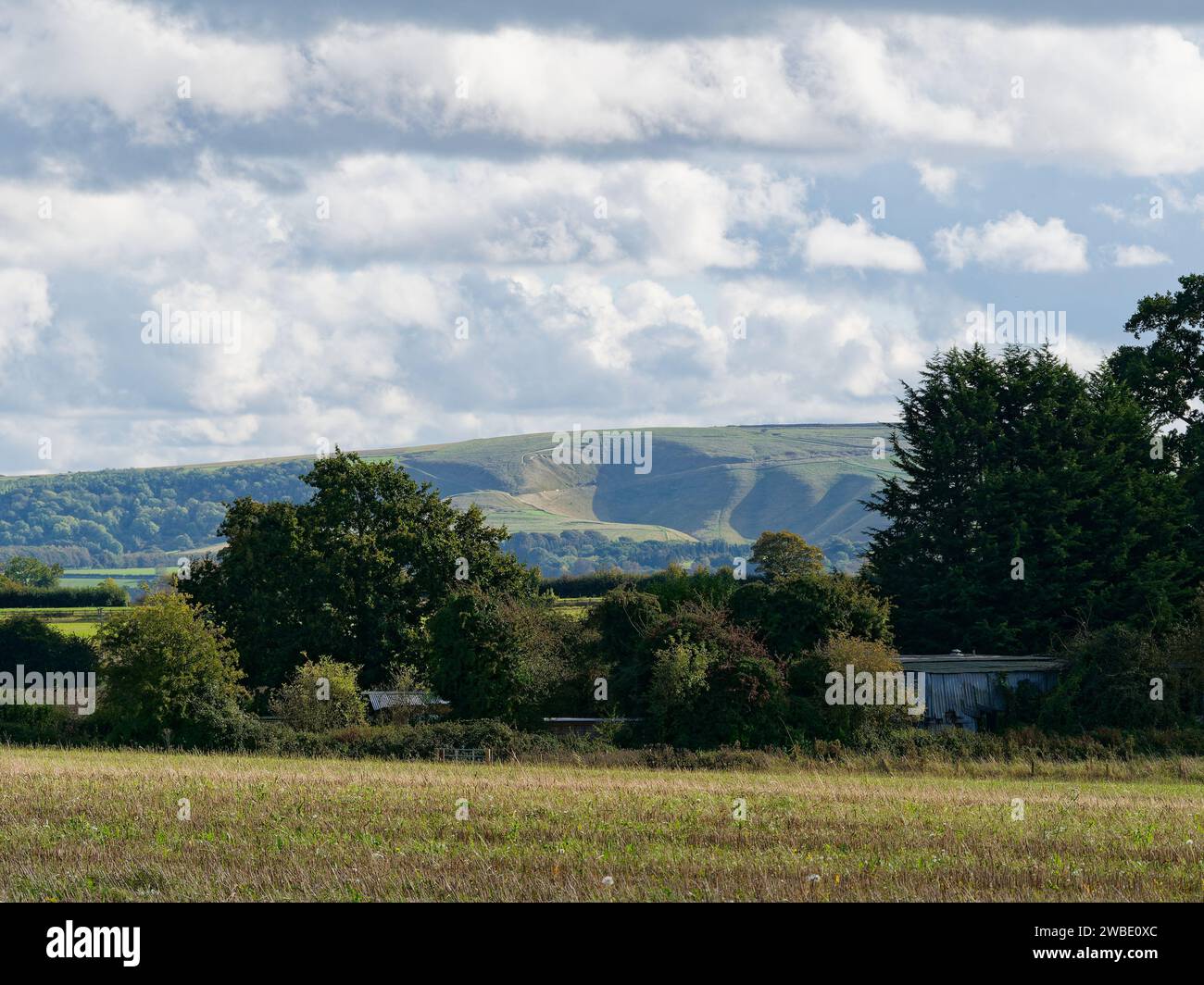 Cheval blanc Uffington d'un champ à Great Coxwell centré entre les arbres au loin, Oxfordshire, Angleterre Banque D'Images
