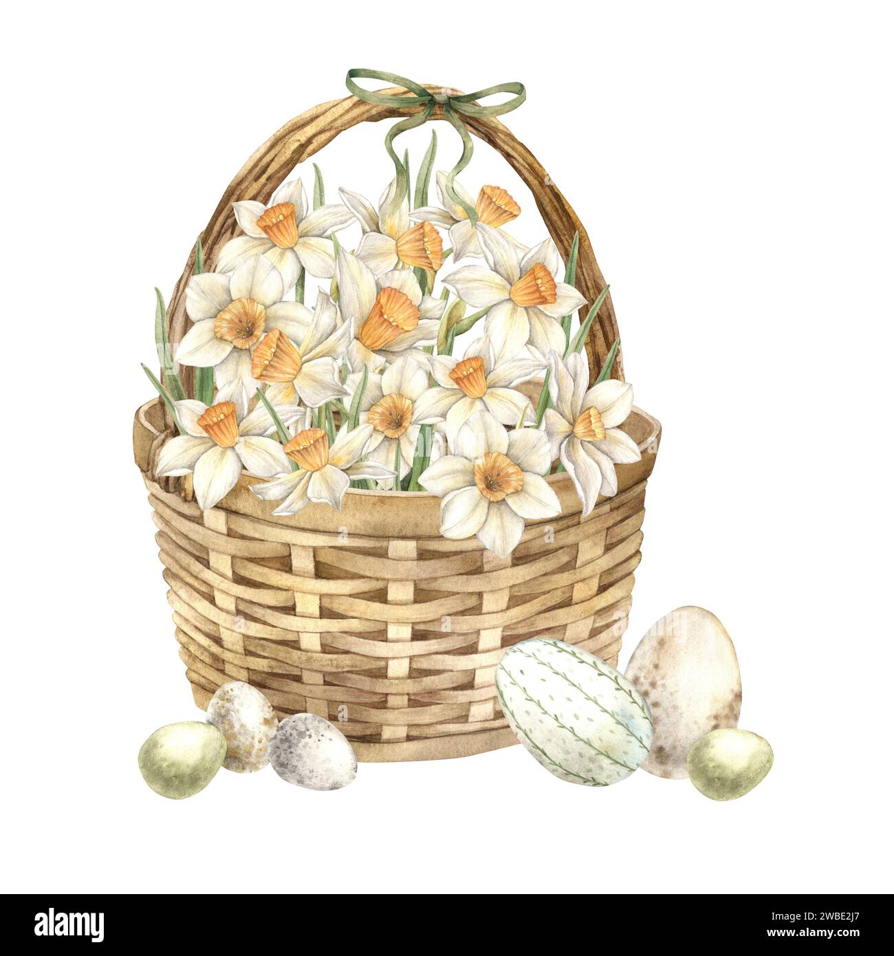 Aquarelle illustration de Pâques avec panier en osier, jonquilles blanches et oeufs de Pâques. Illustration dessinée à la main sur fond isolé pour les cartes de voeux, Banque D'Images
