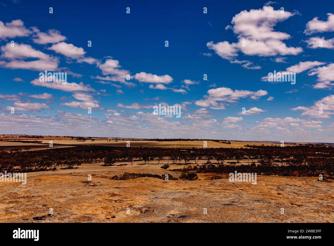 Une scène sereine et pittoresque représentant une vaste terre avec des arbres brun foncé Banque D'Images