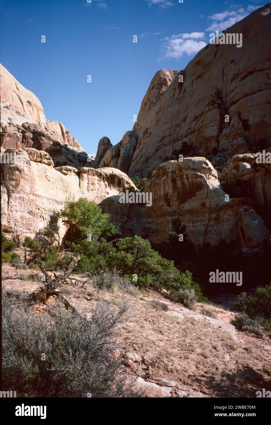 Paysage naturel de formations rocheuses calcaires et de grès à l'intérieur d'un parc national de l'utah et de l'arizona en amérique du Nord en été Banque D'Images