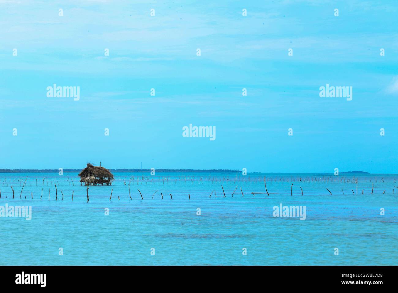 Une très belle scène de plage située dans la ville de Jaffna dans l'état nord du Sri Lanka Banque D'Images