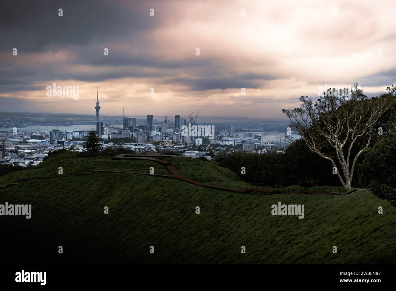 Une vue sur le cratère du volcan Mount Eden jusqu'au centre-ville d'Auckland au loin avec un arbre de premier plan, et sur un ciel nuageux spectaculaire Banque D'Images