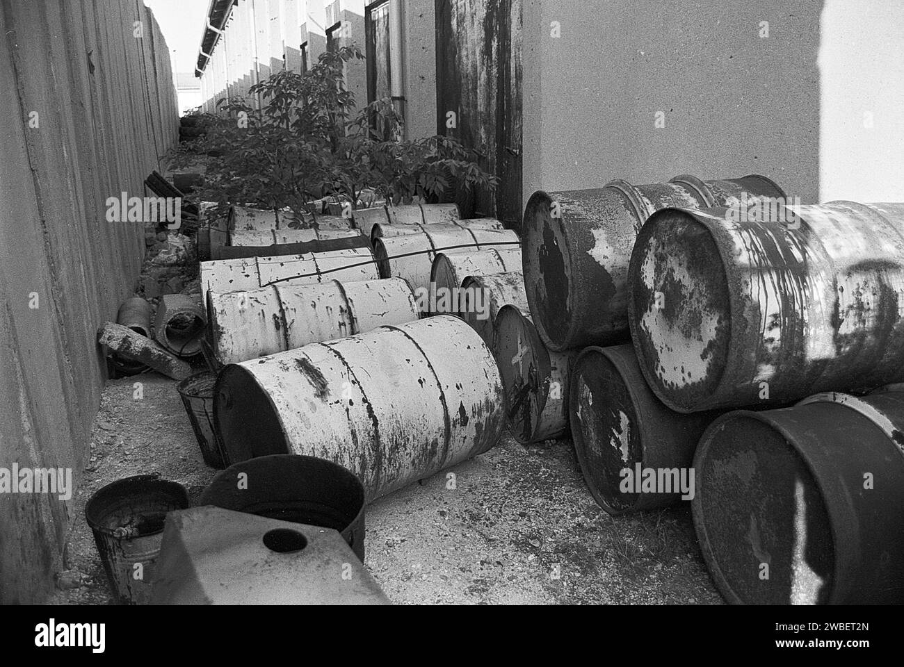 Illegale Müllhalde 15.10.1991, Jahnsbach BEI Thum, Umweltsünder, Umweltstraftat, auf dem Parkplatz der ZGE Anhaänger stehen LKW Sperrmüll mit Giftmüllfässern, Autoreifen und Vermögensverwaltung, auf einem weitereren Schrottplatz illegal entsorgte Stapel von PKW, Roburbus und Fässer mit giftigen Farben und Lacke. Umweltverschmutzung nach Zerfall der DDR *** décharge illégale de déchets 15 10 1991, Jahnsbach près de Thum, délinquant environnemental, crime environnemental, dans le parking de la ZGE Vermögensverwaltung il ya des remorques de camions avec des déchets encombrants, pneus de voiture et barils de déchets toxiques, dans un autre sc Banque D'Images