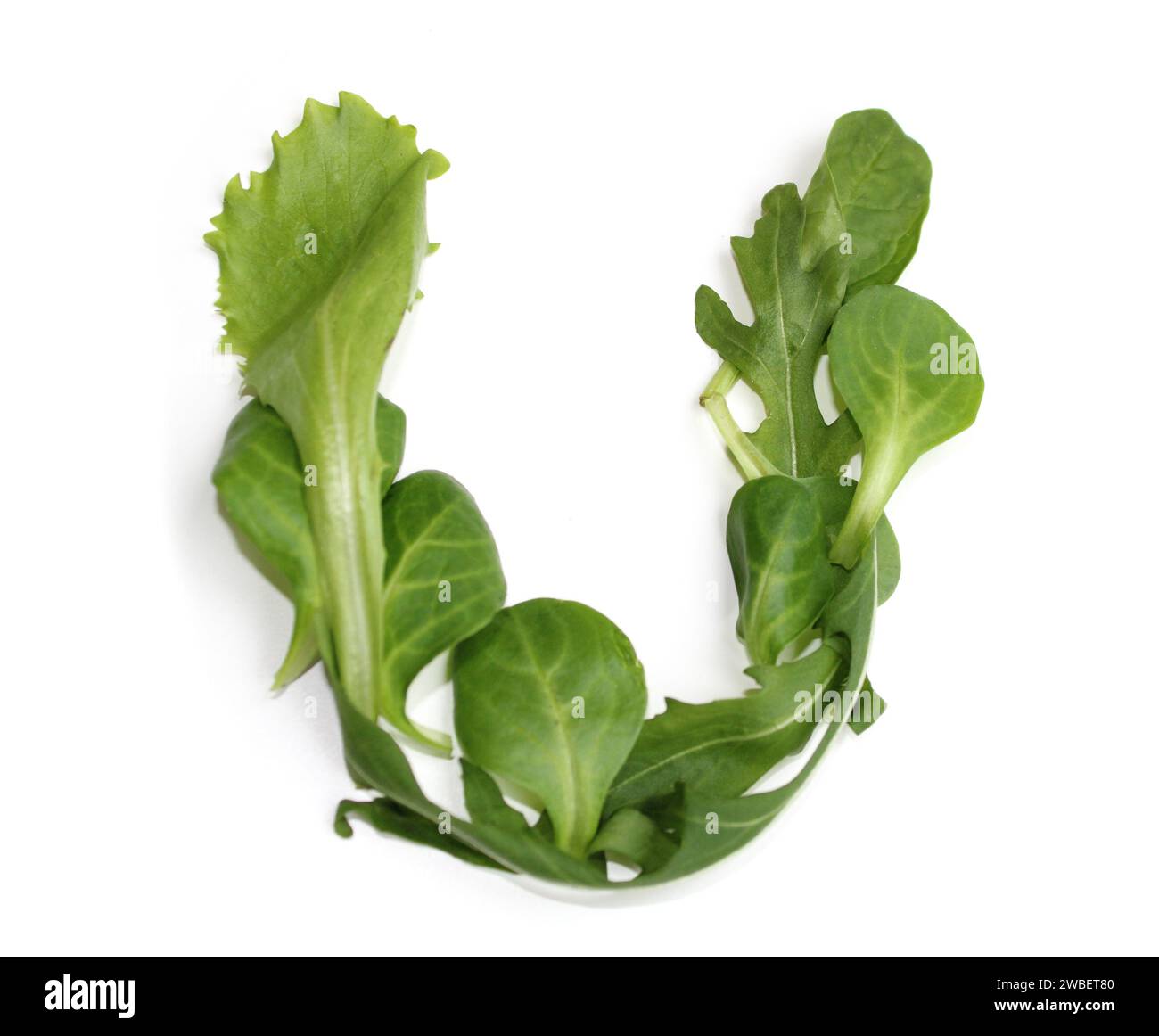 Lettre U faite à partir de salade verte, lettres majuscules ABC alphabétiques pour le texte, encyclopédie, livre de cuisine, livres de cuisine, mot vegan janvier, lettres isolées Banque D'Images