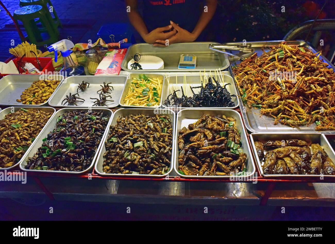 Bangkok, cuisine de rue avec des insectes, des chenilles, des araignées et des scorpions. Thaïlande. Banque D'Images