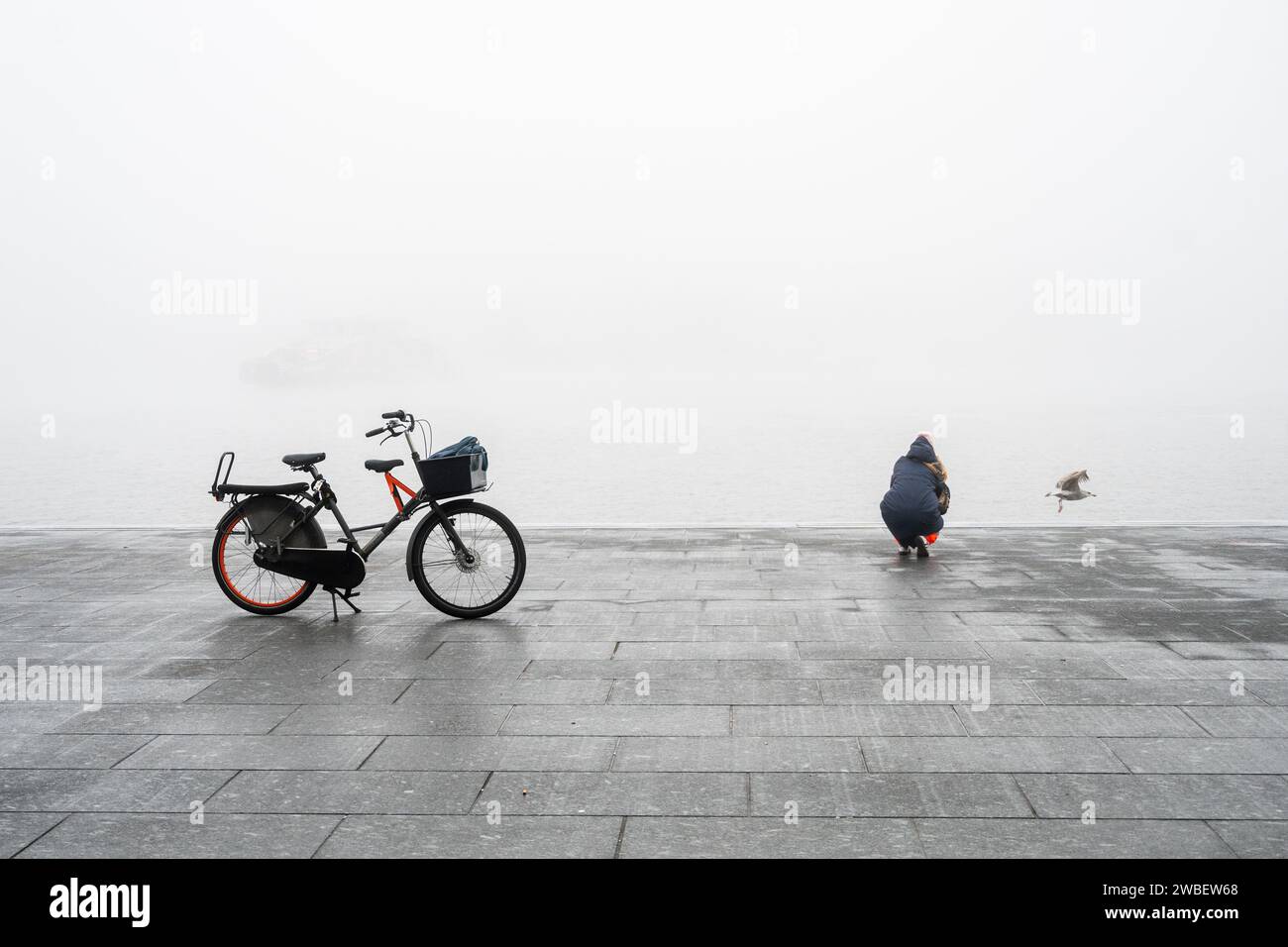 Femme prenant la photo de l'oiseau par les quais sur une journée froide avec son vélo sur un stand à proximité Banque D'Images