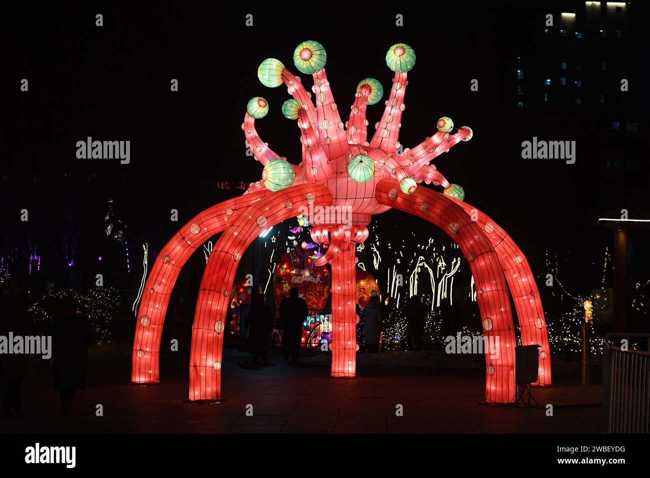 Shenyang, Chine. 10 janvier 2024. Les habitants regardent des lanternes au parc Bitang à Shenyang, en Chine, le 10 janvier 2024. (Photo Costfoto/NurPhoto) crédit : NurPhoto SRL/Alamy Live News Banque D'Images