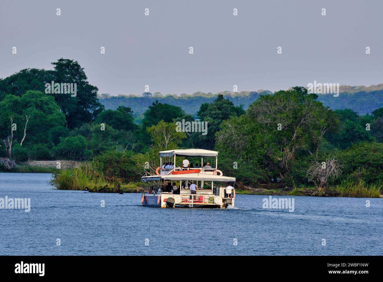 Zimbabwe, province du Matabeleland Nord, croisière sur le fleuve Zambèze Banque D'Images