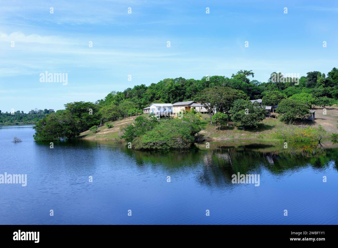 Établissement le long d'un affluent amazonien, état d'Amazonas, Brésil Banque D'Images