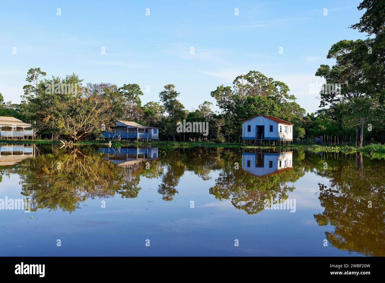 Maisons en bois sur pilotis se reflétant dans le fleuve Amazone, état d'Amazonas, Brésil Banque D'Images