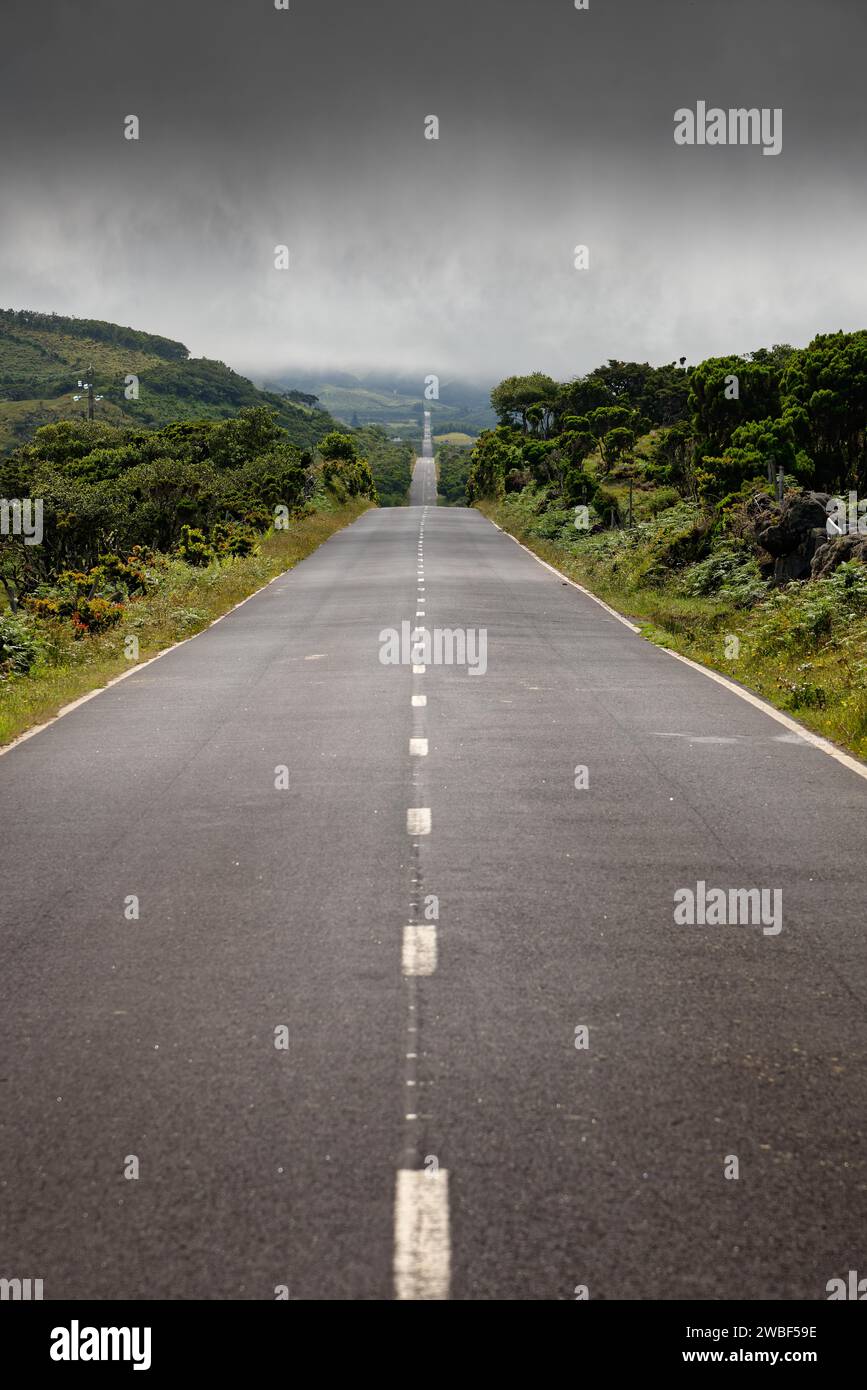Une longue route droite mène à travers les hautes terres vertes de l'île de Pico par temps brumeux, Highlands, île de Pico, Açores, Portugal Banque D'Images