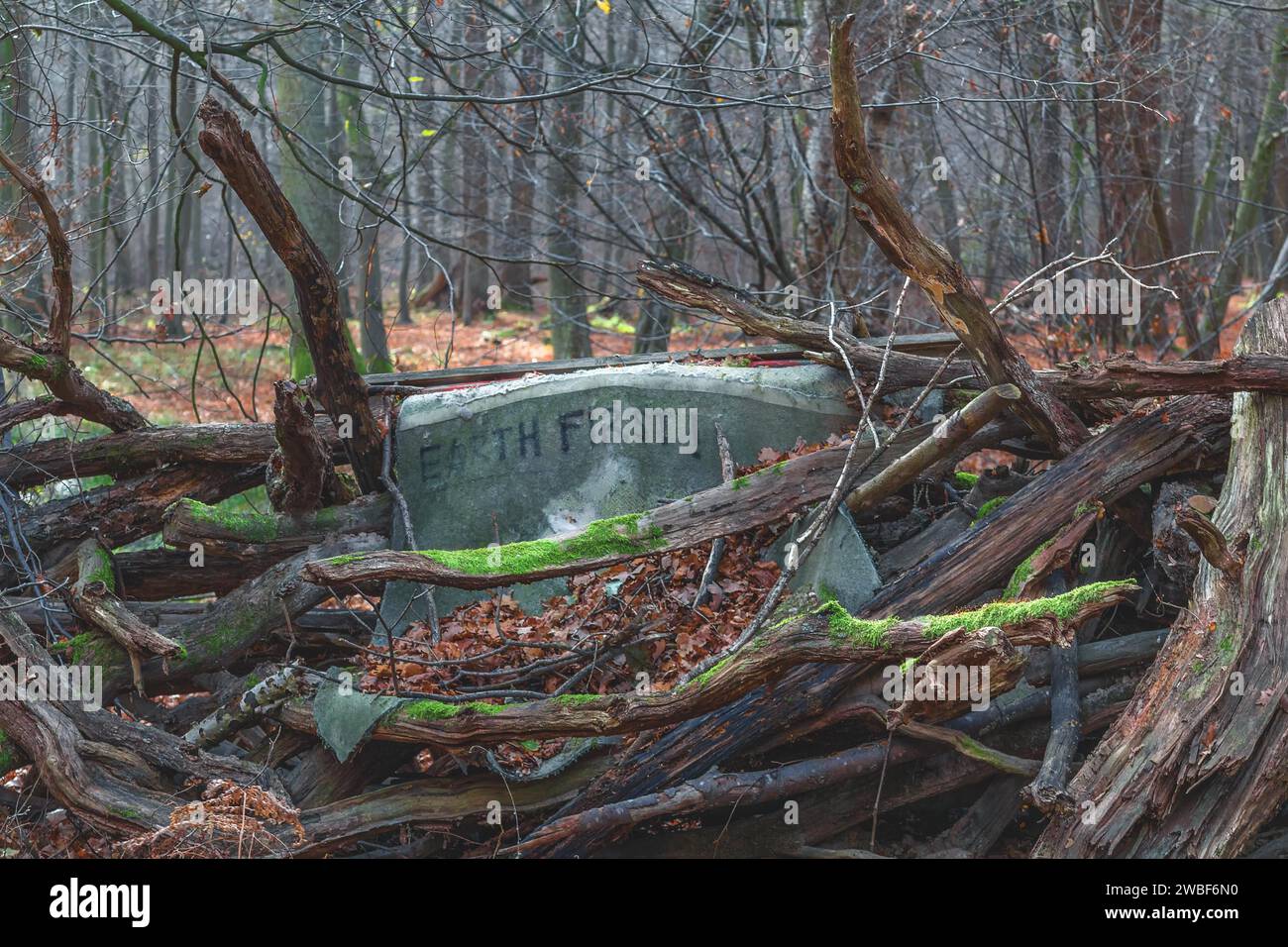 Un vieux tissu avec l'inscription 'EARTH FRIRTt' est entouré de bois pourri et de mousse dans la forêt, Hambach Forest, Rhénanie du Nord-Westphalie, Allemagne Banque D'Images